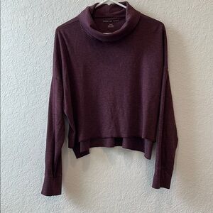 American Eagle Outfitters Cropped Ribbed Turtleneck in Burgundy